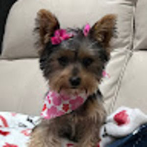 Meet your Posher, Angie